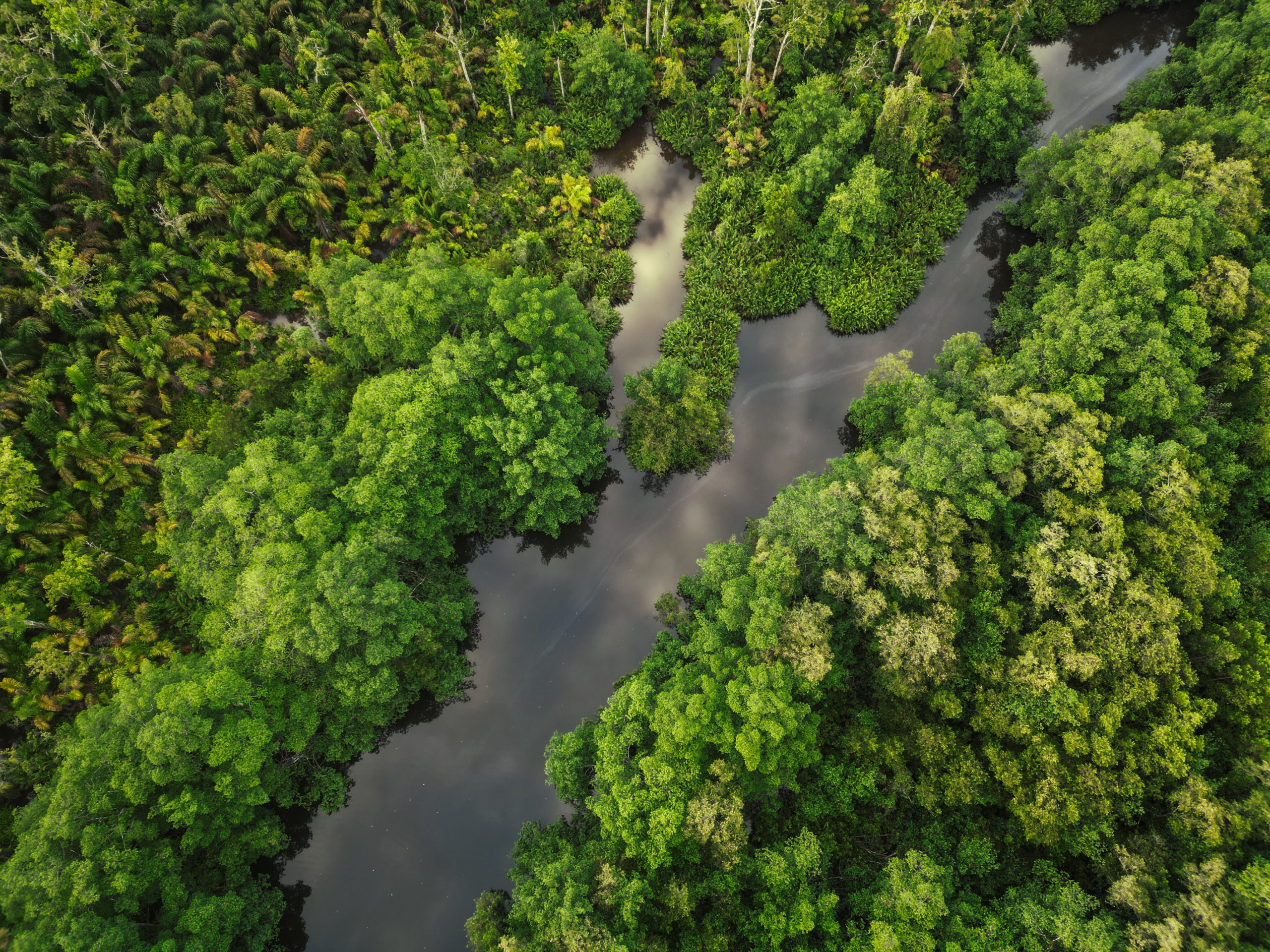 Costa Rica, the paradise?