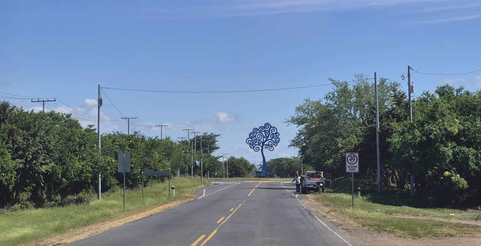 Wo Bibeln versteckt werden und die Bäume aus Metall sind